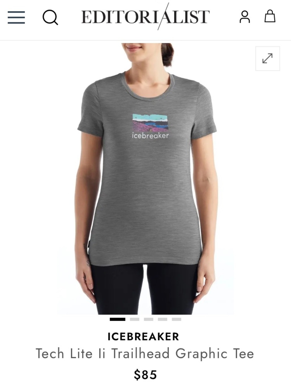 Icebreaker Gray Tech Lite Trailhead Graphic Tee